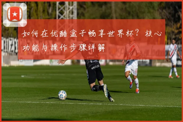 如何在优酷盒子畅享世界杯？核心功能与操作步骤详解