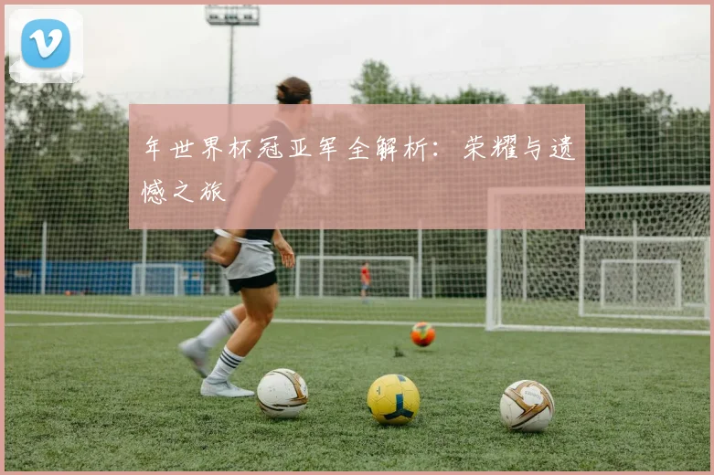 年世界杯冠亚军全解析：荣耀与遗憾之旅