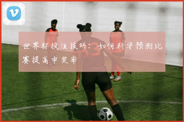 世界杯投注技巧：如何科学预测比赛提高中奖率