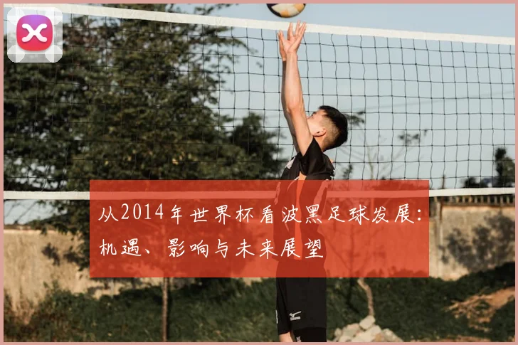 从2014年世界杯看波黑足球发展：机遇、影响与未来展望