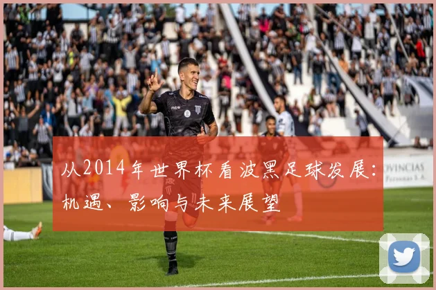 从2014年世界杯看波黑足球发展：机遇、影响与未来展望